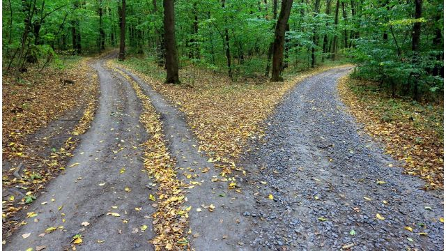 The Skill That Shapes Direction, Confidence, and Long-Term Success